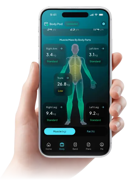 App showing muscle mass by body part